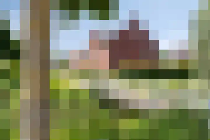Hovenierslaan 26 Scherpenzeel thumbnail 31