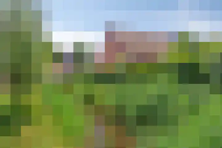 Hovenierslaan 26 Scherpenzeel thumbnail 32