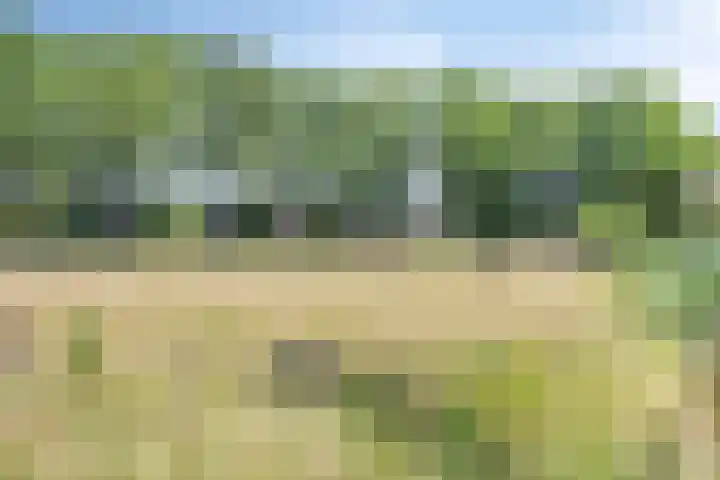 Hovenierslaan 26 Scherpenzeel thumbnail 33
