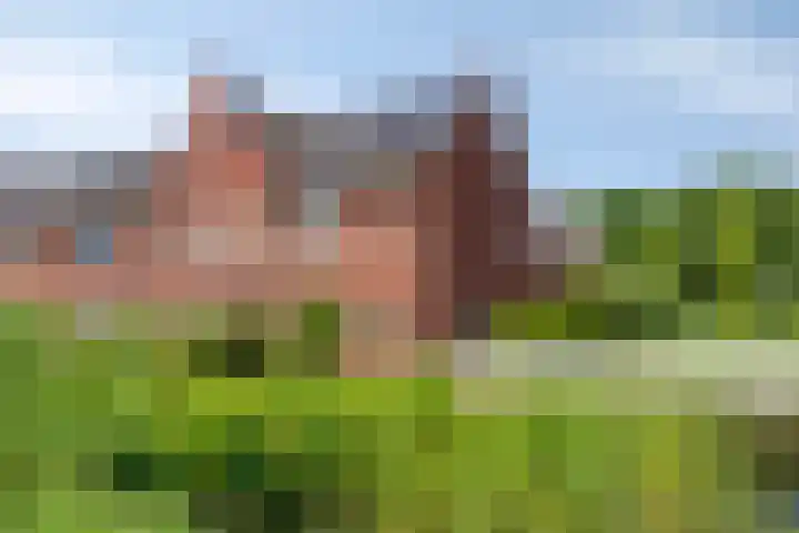 Hovenierslaan 26 Scherpenzeel thumbnail 37