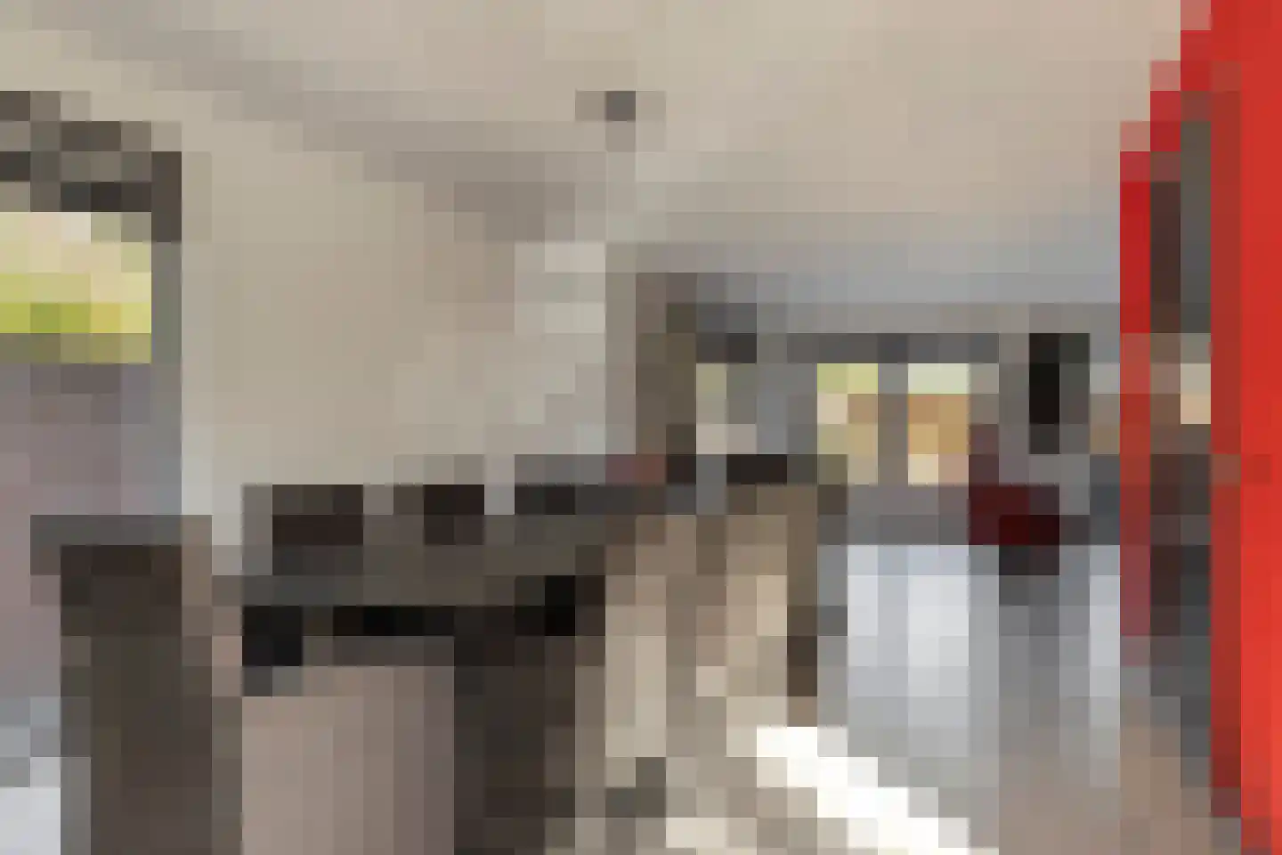 Hovenierslaan 8 Scherpenzeel thumbnail 12