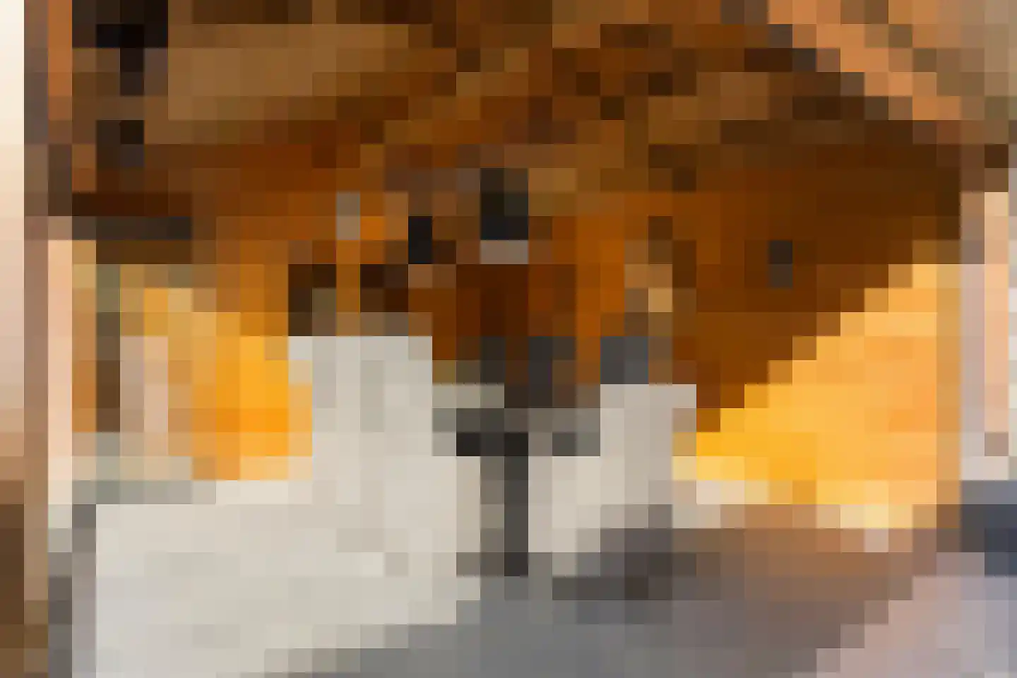 Hovenierslaan 8 Scherpenzeel thumbnail 28