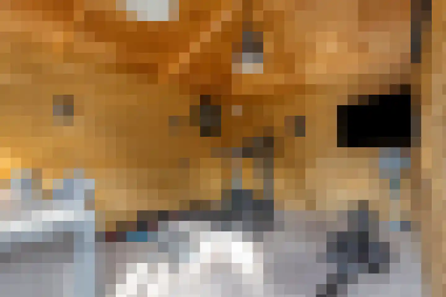 Hovenierslaan 8 Scherpenzeel thumbnail 29