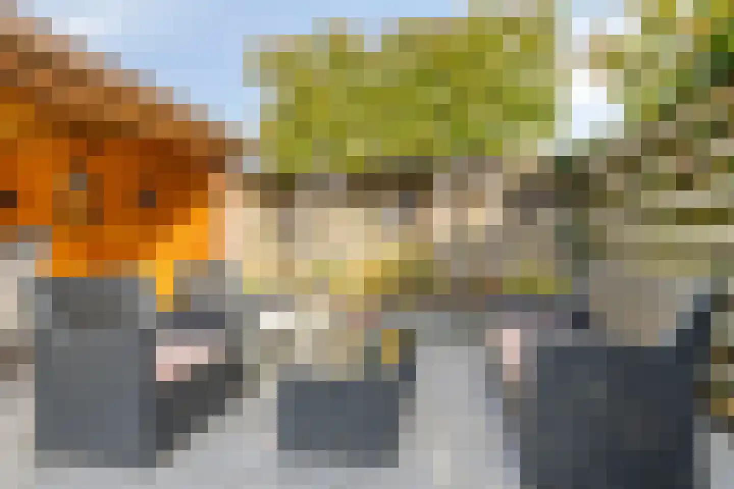 Hovenierslaan 8 Scherpenzeel thumbnail 30