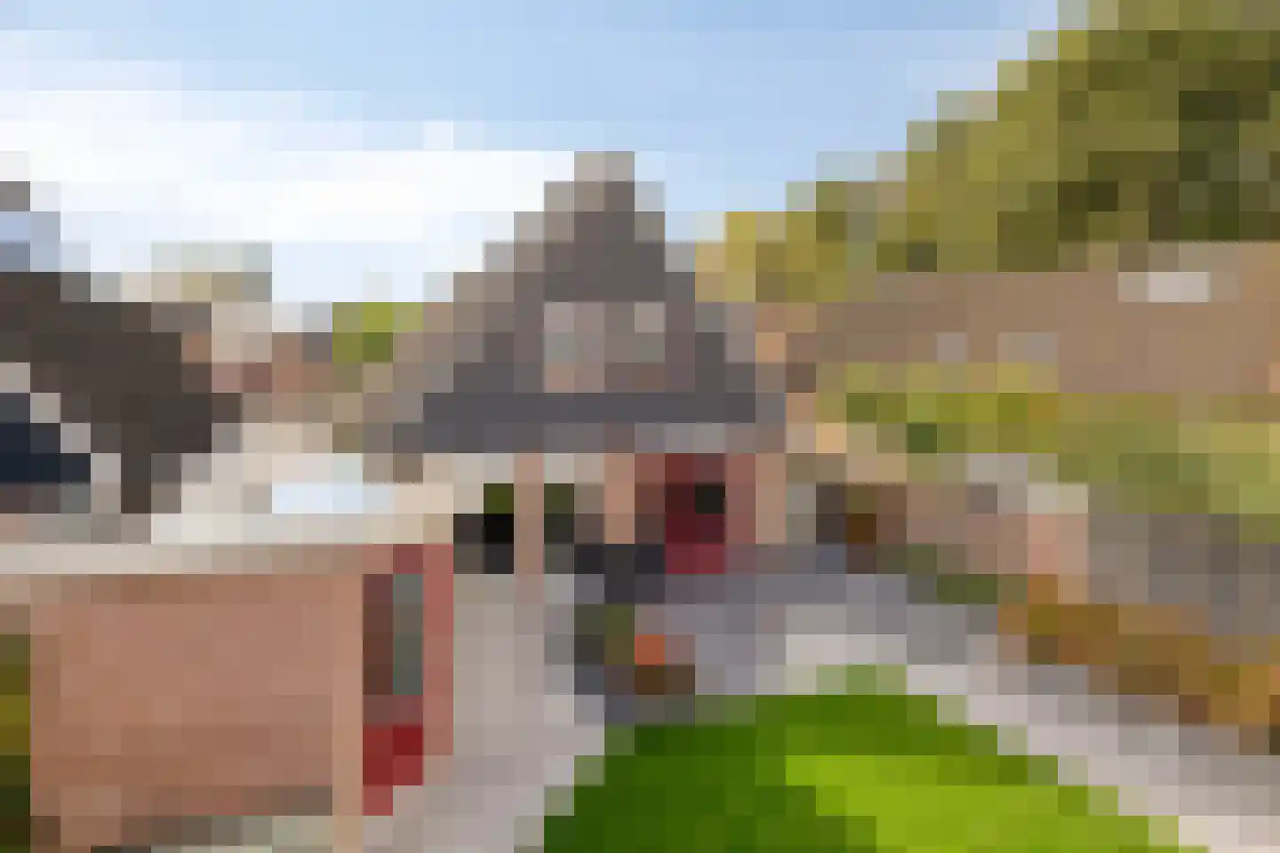 Hovenierslaan 8 Scherpenzeel thumbnail 32