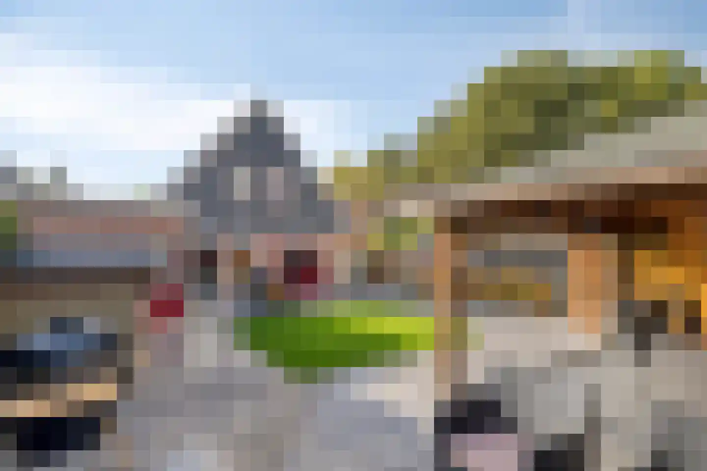 Hovenierslaan 8 Scherpenzeel thumbnail 4