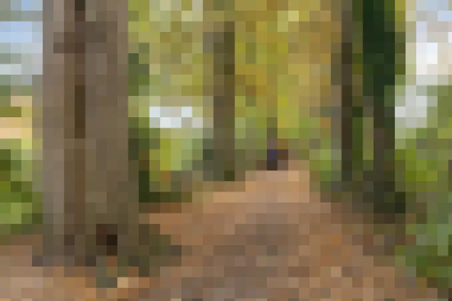 Hovenierslaan 8 Scherpenzeel thumbnail 40
