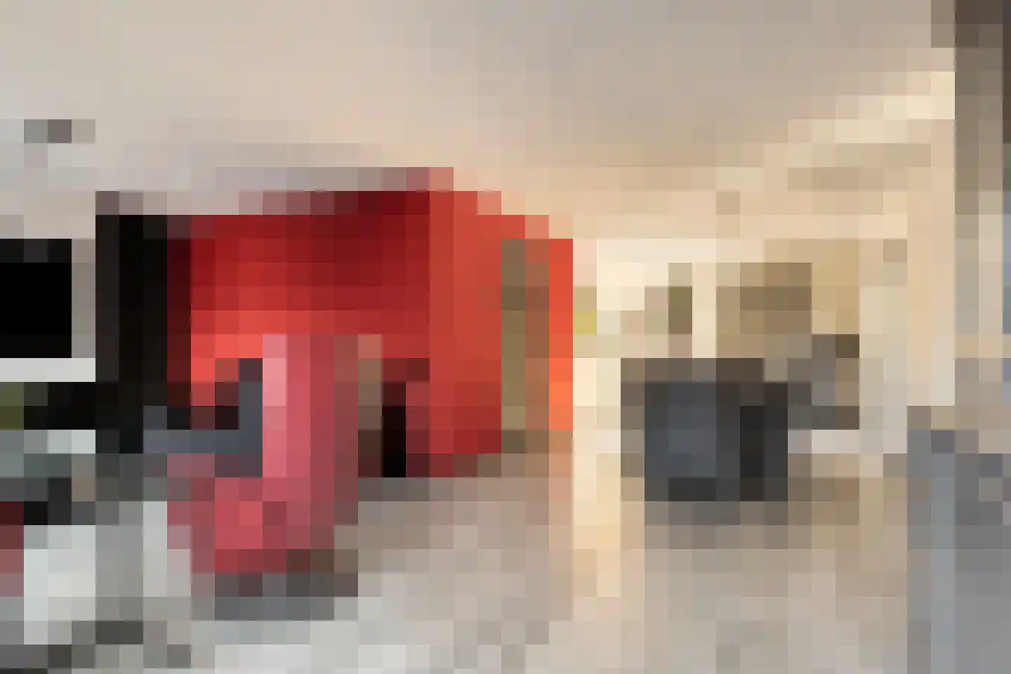 Hovenierslaan 8 Scherpenzeel thumbnail 7
