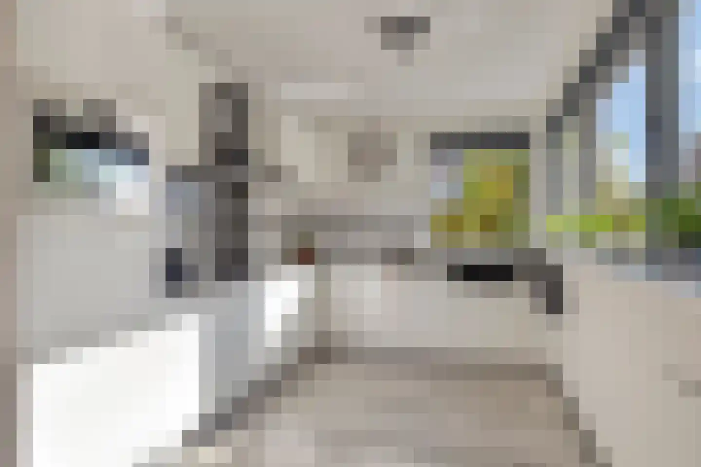 Hovenierslaan 8 Scherpenzeel thumbnail 9