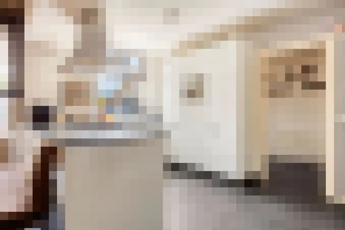 Hovenierslaantje 11 Tiel thumbnail 14