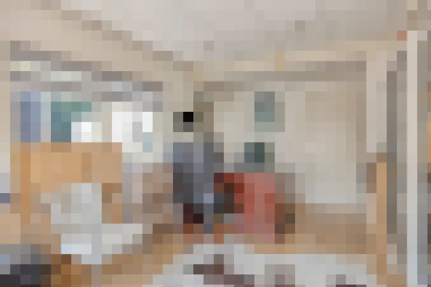 Hovenierslaantje 11 Tiel thumbnail 17