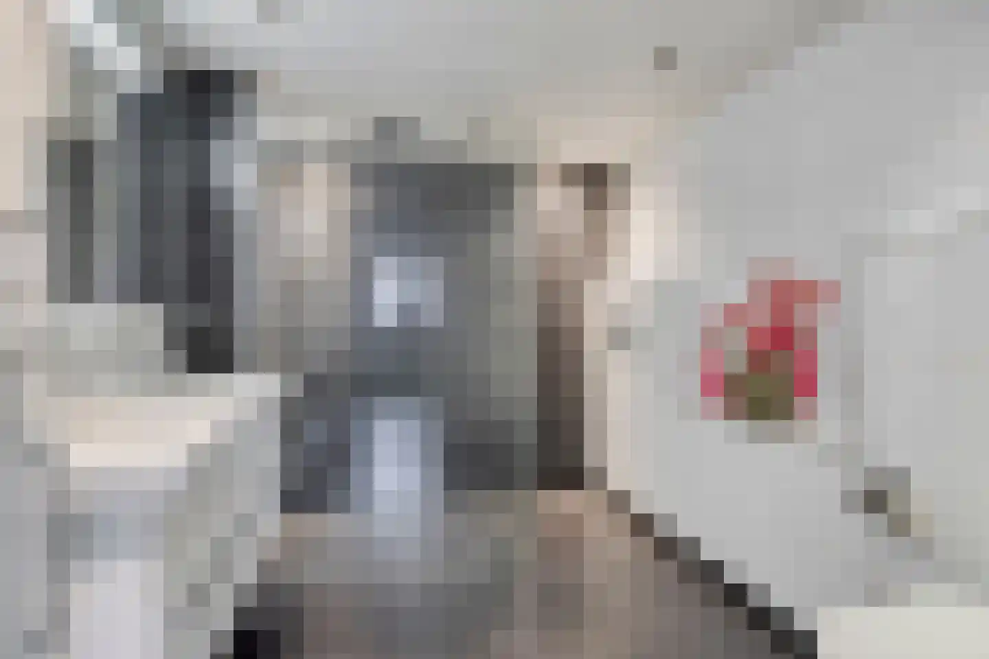 Hovenierslaantje 11 Tiel thumbnail 23