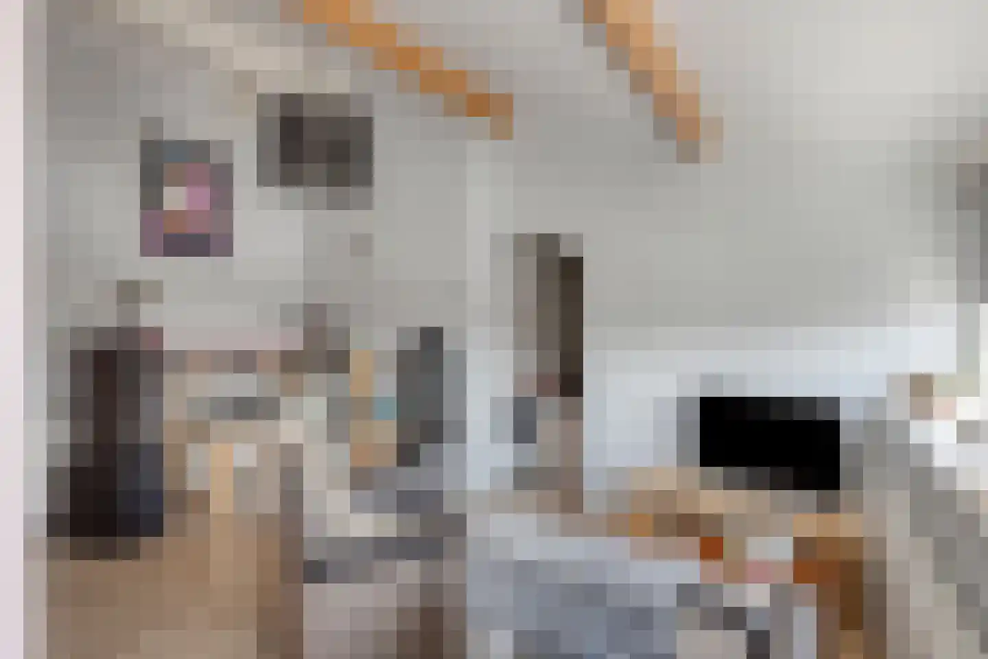 Hovenierslaantje 11 Tiel thumbnail 29