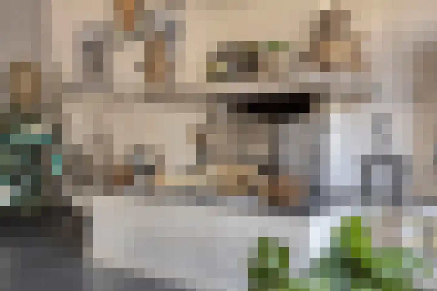 Hovenierslaantje 11 Tiel thumbnail 9