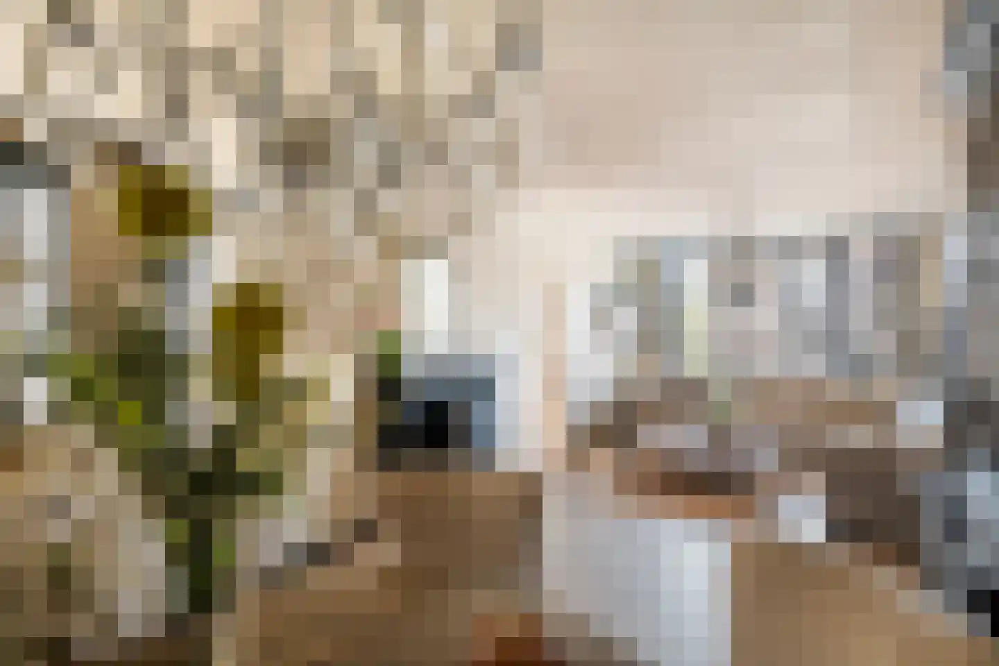 Hovenierslaantje 16 Tiel thumbnail 12