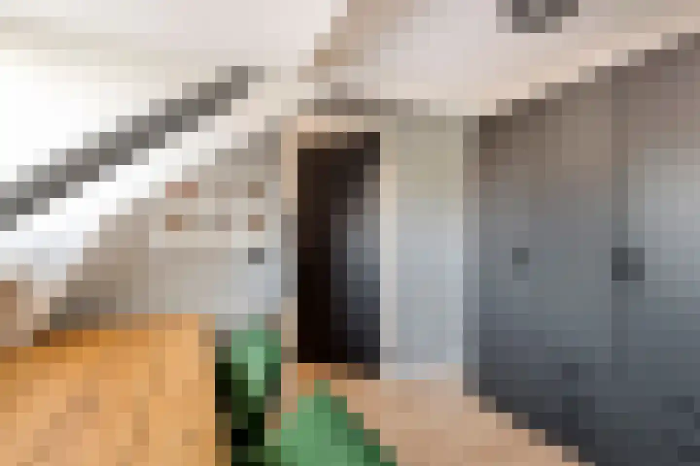 Hovenierslaantje 16 Tiel thumbnail 29