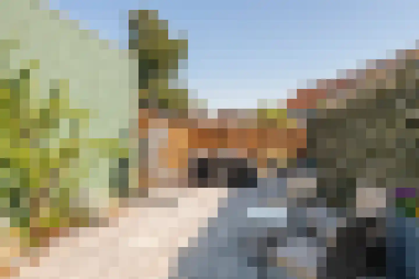 Hovenierslaantje 16 Tiel thumbnail 31