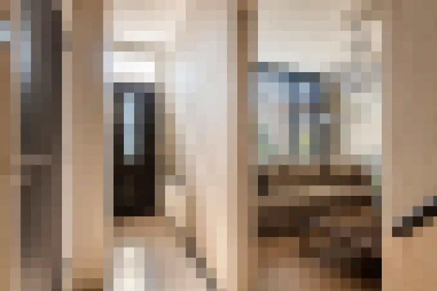 Hovenierslaantje 16 Tiel thumbnail 4