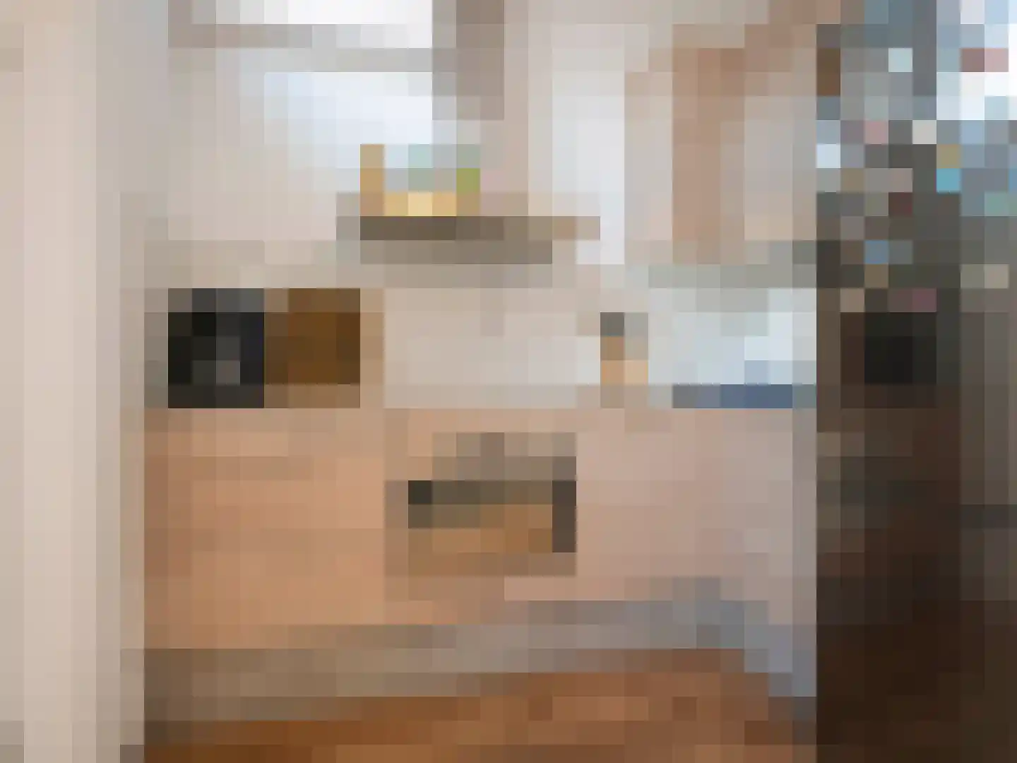 Hovenierslaantje 20 Tiel thumbnail 10