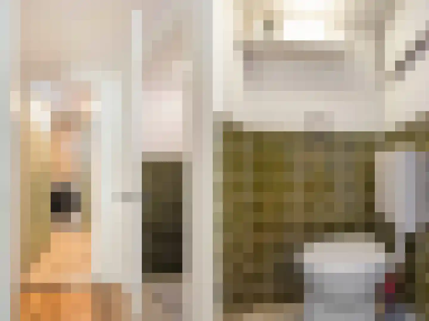 Hovenierslaantje 20 Tiel thumbnail 16
