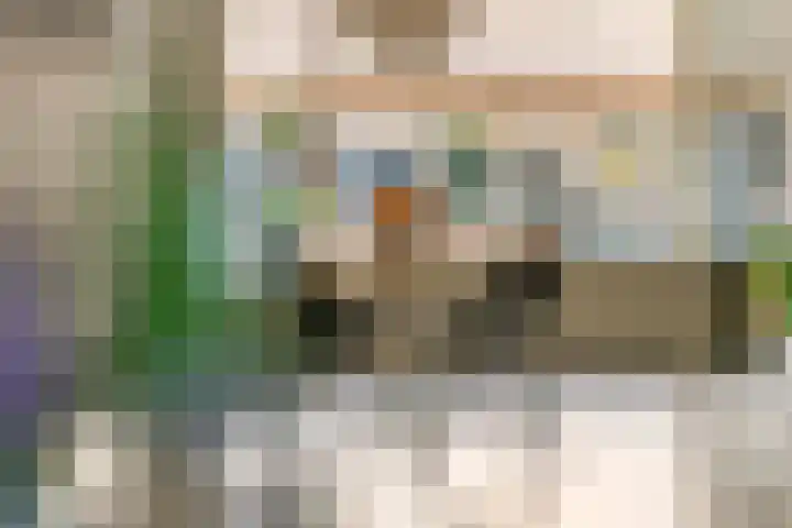 Hovenierslaantje 24 Tiel thumbnail 10