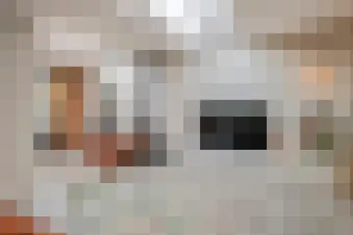 Hovenierslaantje 24 Tiel thumbnail 16
