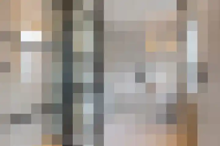 Hovenierslaantje 24 Tiel thumbnail 22