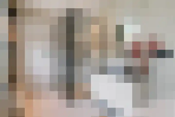 Hovenierslaantje 24 Tiel thumbnail 24