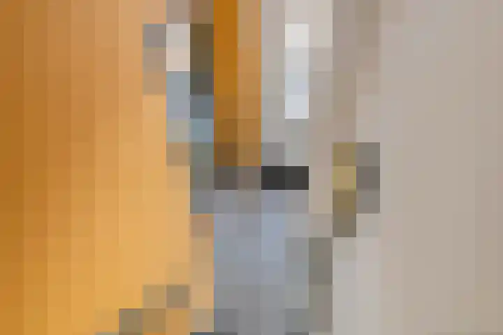 Hovenierslaantje 24 Tiel thumbnail 32