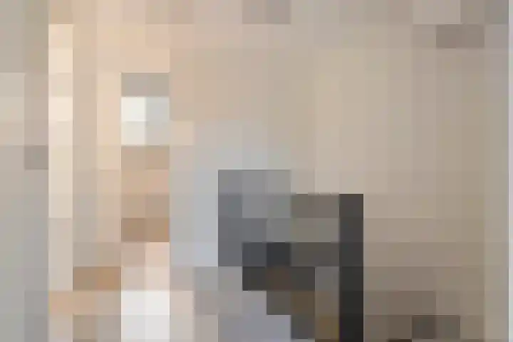 Hovenierslaantje 24 Tiel thumbnail 35