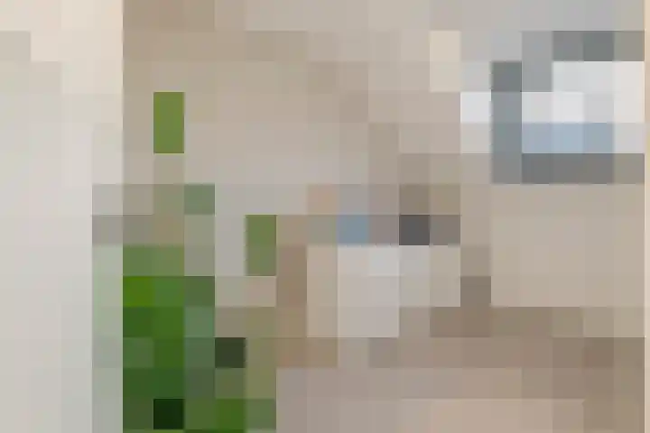 Hovenierslaantje 24 Tiel thumbnail 39
