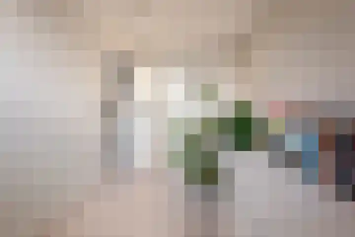Hovenierslaantje 24 Tiel thumbnail 40