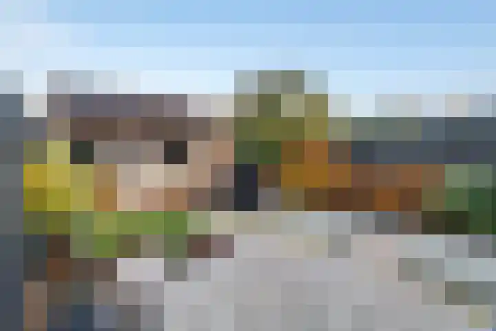 Hovenierslaantje 24 Tiel thumbnail 41