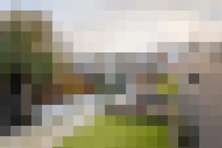 Hovenierslaantje 24 Tiel thumbnail 46