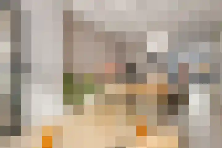 Hovenierslaantje 24 Tiel thumbnail 5