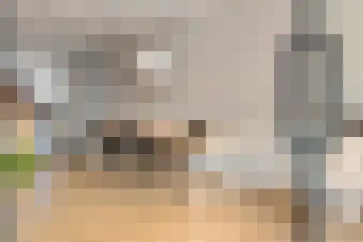 Hovenierslaantje 24 Tiel thumbnail 7