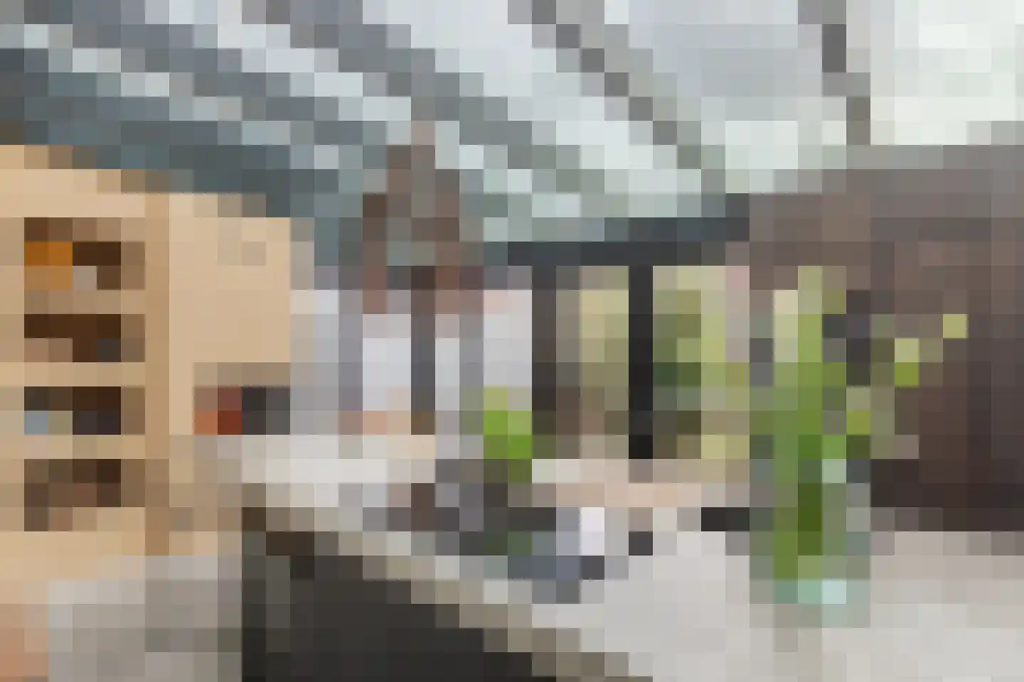 Hovenierslaantje 5 Tiel thumbnail 12