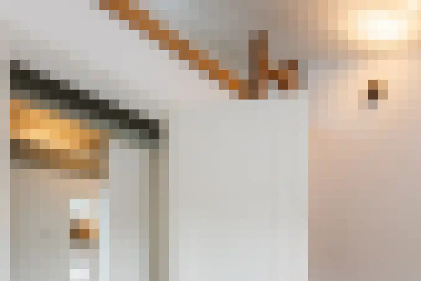 Hovenierslaantje 5 Tiel thumbnail 24