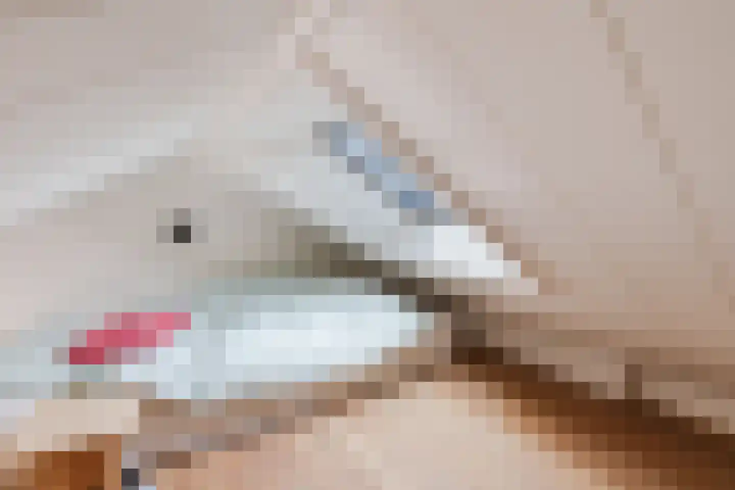 Hovenierslaantje 5 Tiel thumbnail 27