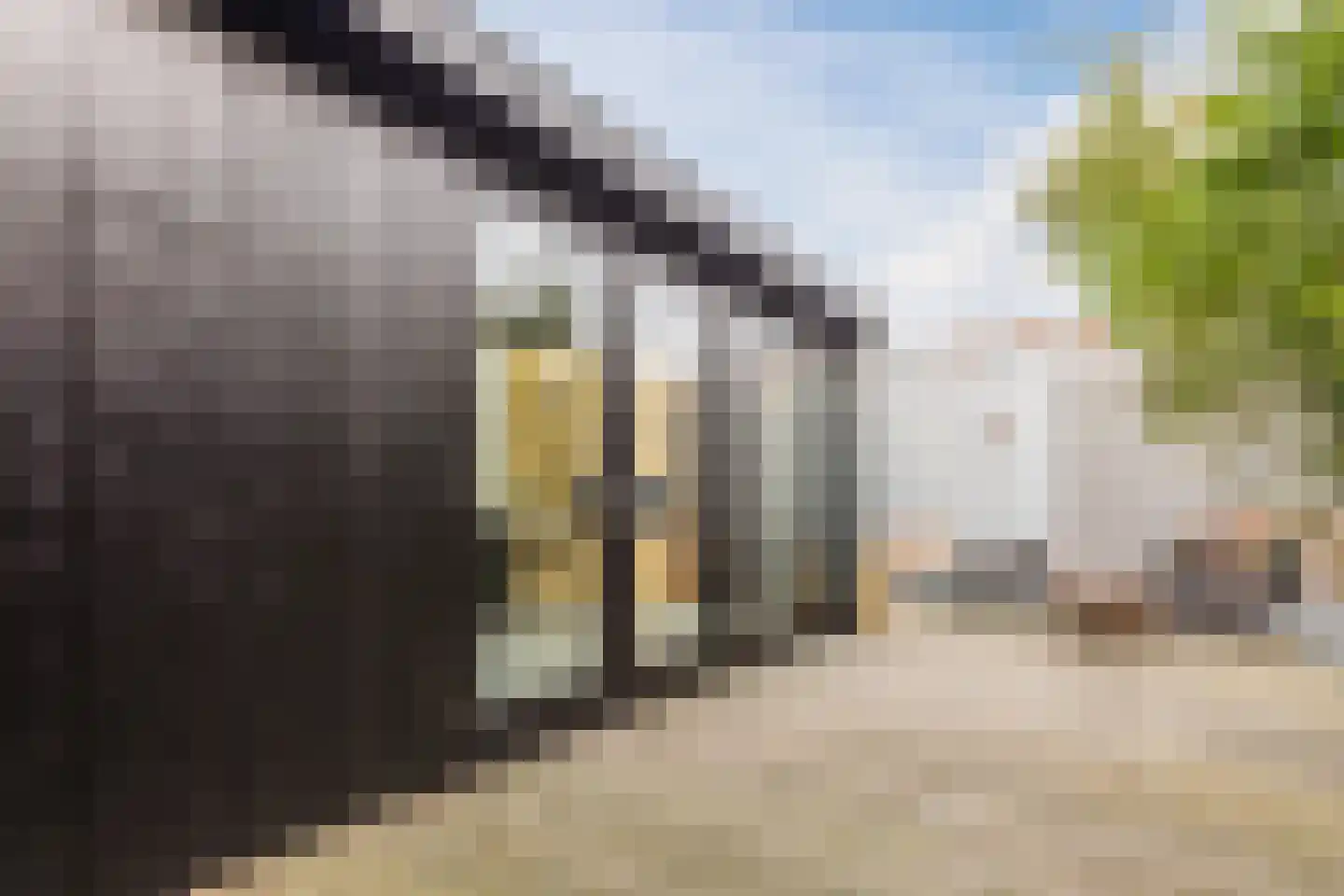 Hovenierslaantje 5 Tiel thumbnail 28