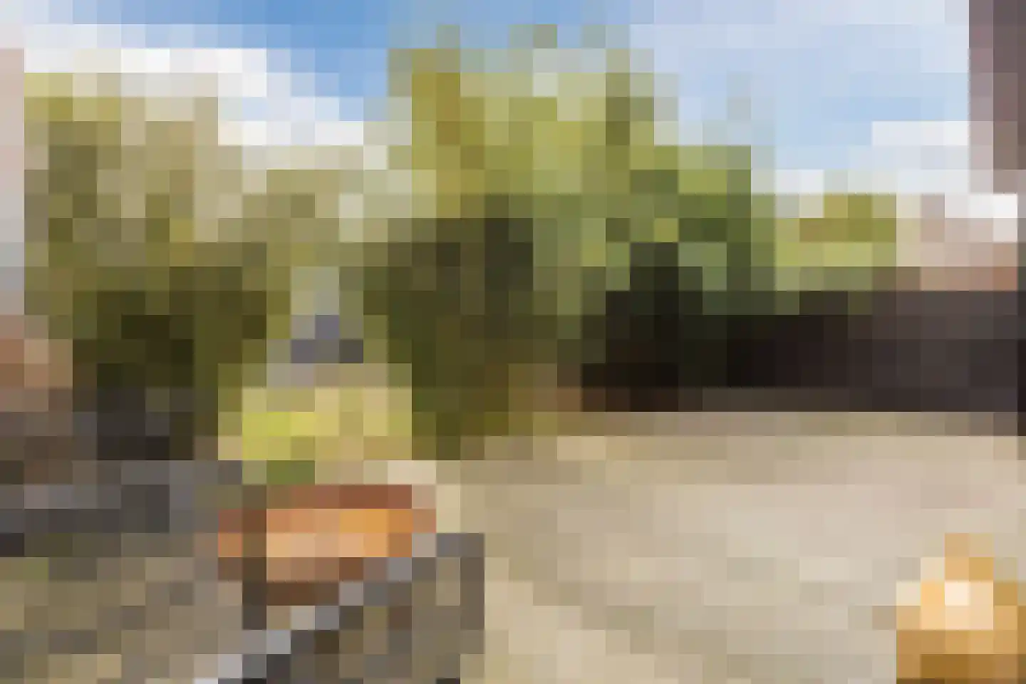 Hovenierslaantje 5 Tiel thumbnail 29