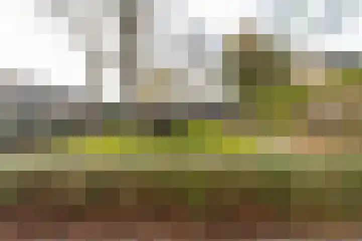 Hoveniersland 22 Zaltbommel thumbnail 51