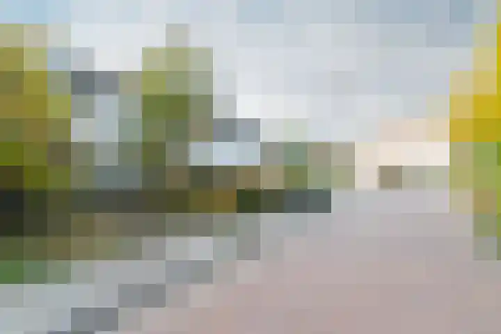 Hoveniersland 22 Zaltbommel thumbnail 55