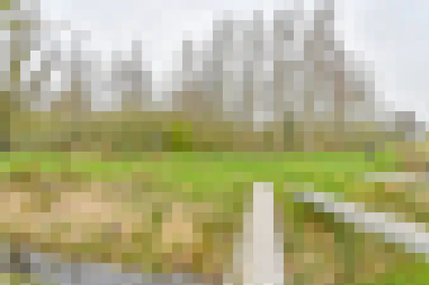 Hoveniersland 28 Noordscheschut thumbnail 60