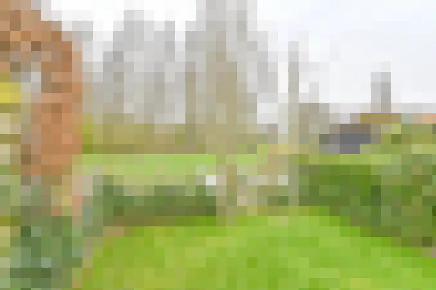 Hoveniersland 28 Noordscheschut thumbnail 62