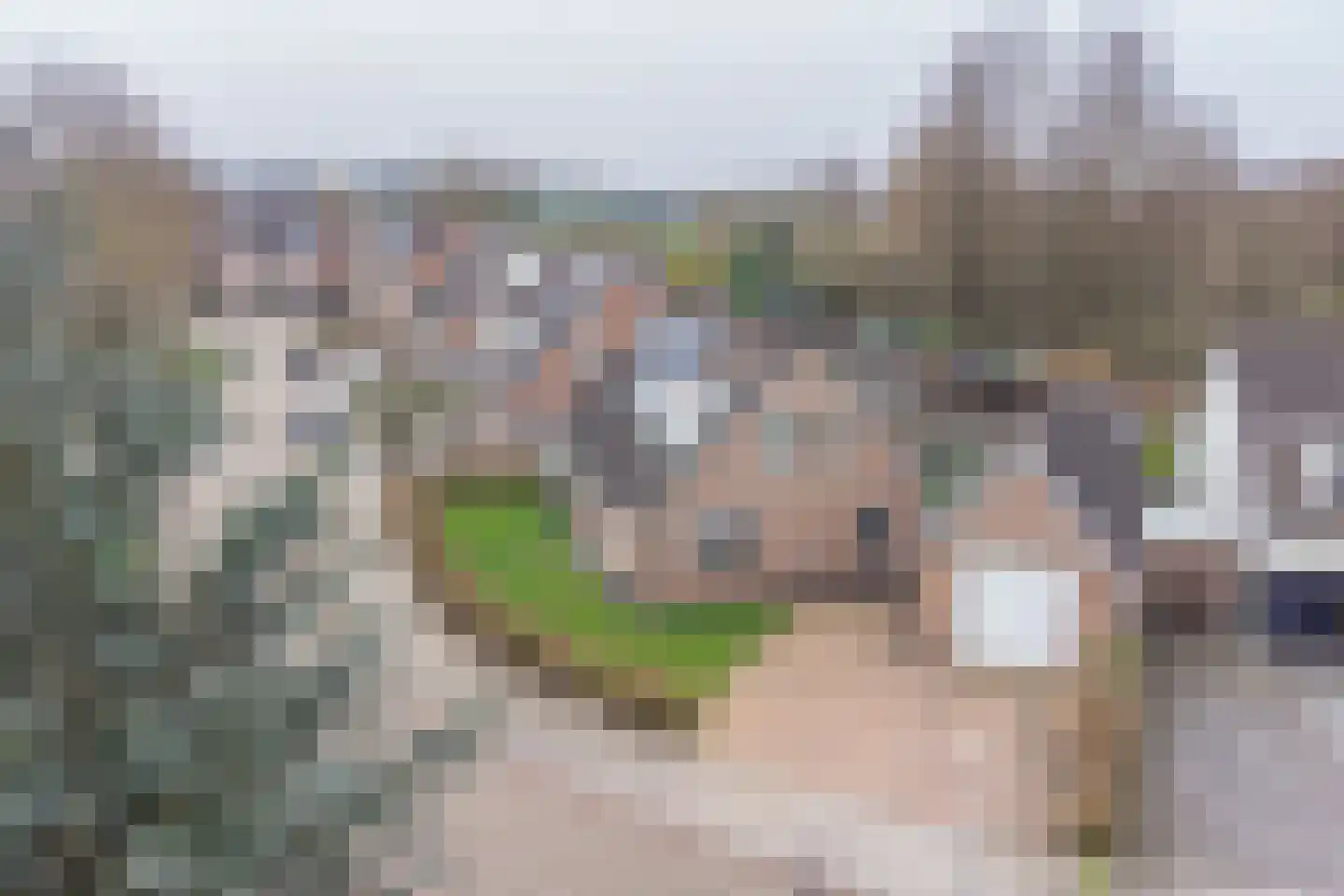 Hoveniersland 28 Noordscheschut thumbnail 67