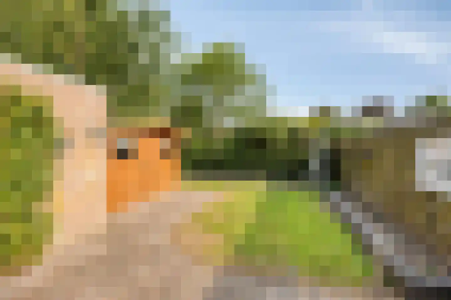 Hoveniersland 4 Noordscheschut thumbnail 30