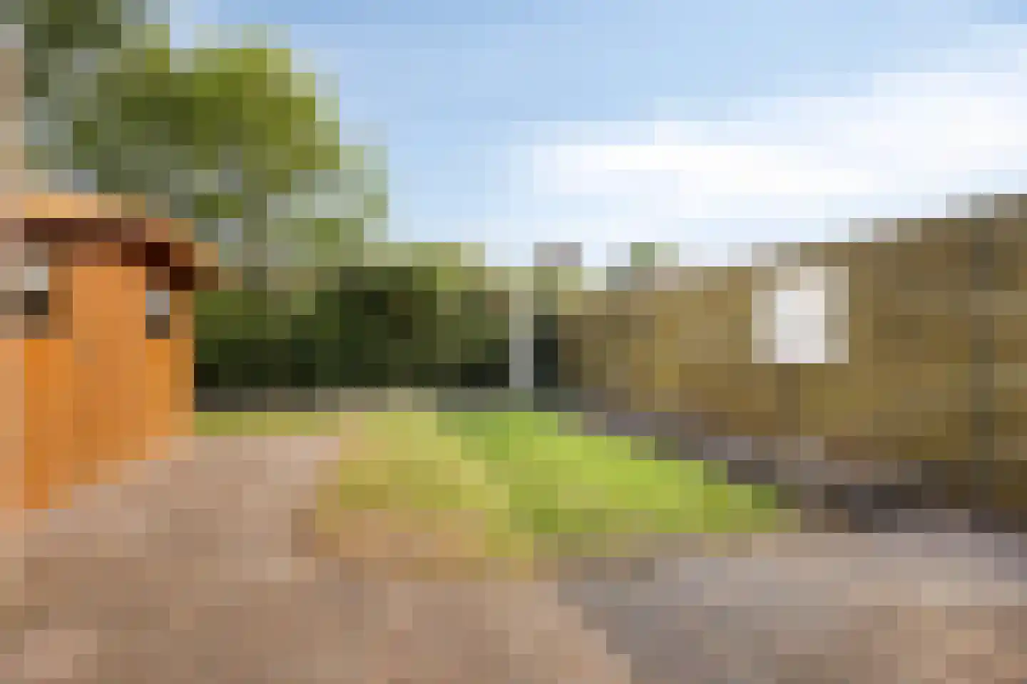 Hoveniersland 4 Noordscheschut thumbnail 31