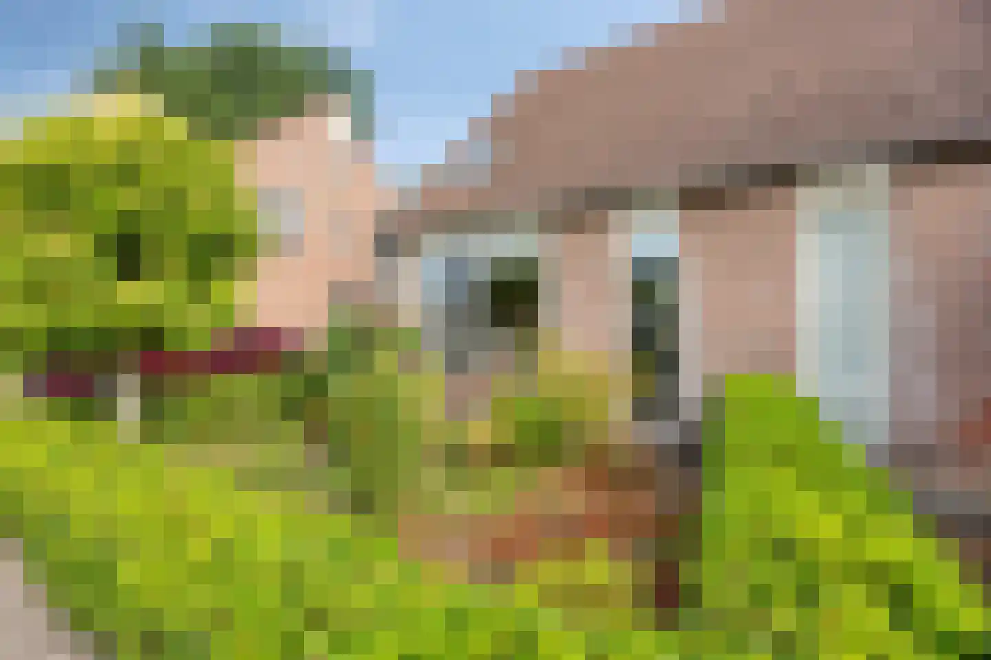 Hoveniersland 4 Noordscheschut thumbnail 34