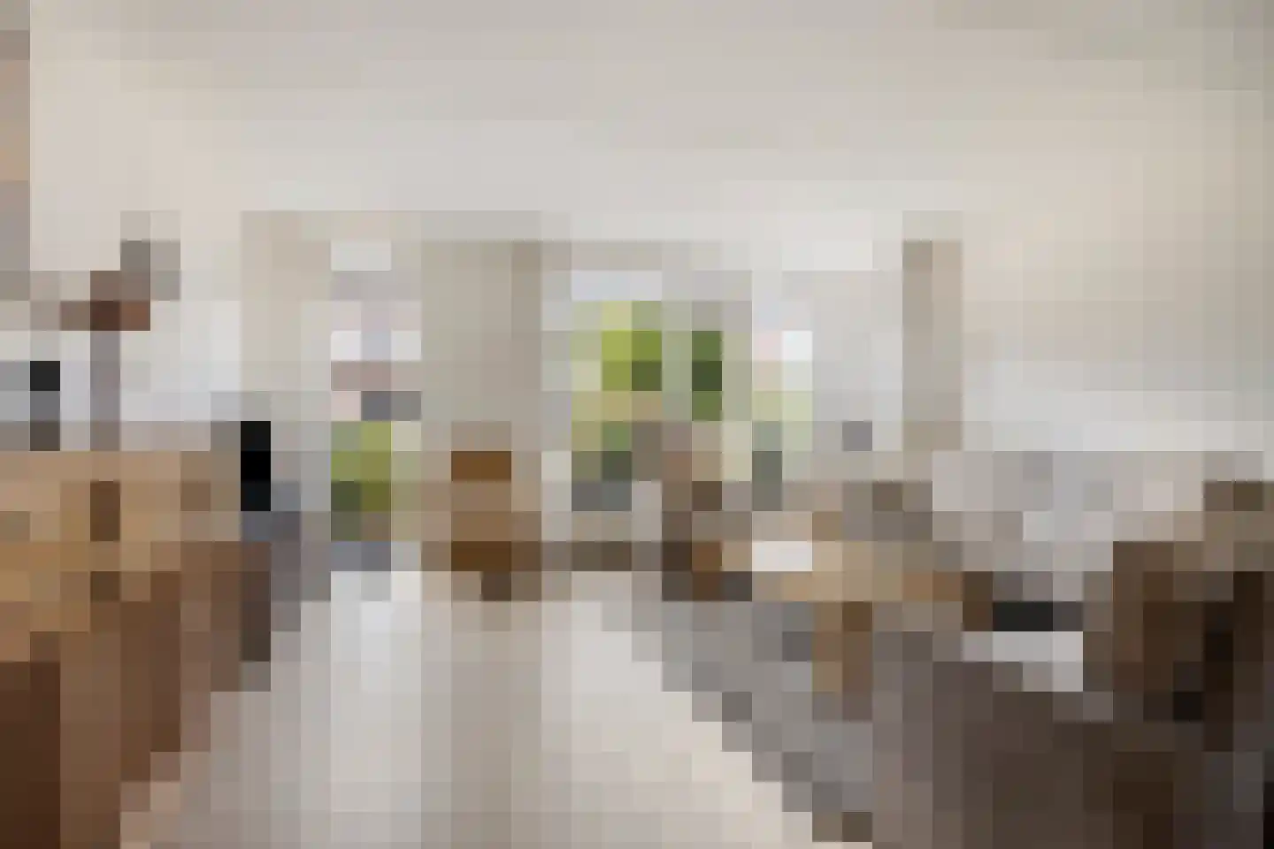 Hoveniersland 4 Noordscheschut thumbnail 8